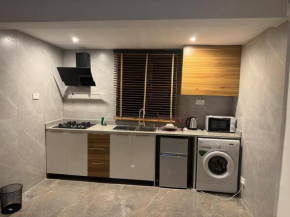 Luxury pent house apartment